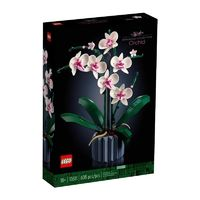 LEGO 樂高 Botanical Collection植物收藏系列 10311 蘭花