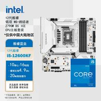 intel 英特爾 酷睿 12代 i5-12600KF銘瑄終結(jié)者Z790M D5 ICE套裝