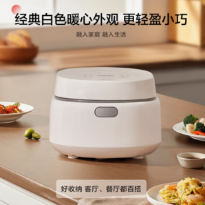 PLUS會員！Panasonic 松下 SR-DL101 電飯煲 3.2L