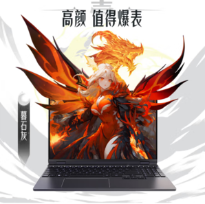 PLUS會(huì)員！MECHREVO機(jī)械革命 翼龍15 Pro 15.3英寸游戲本（R7-8845H、24GB、1TB、RTX4060）