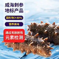 datian 大沺 即食威海刺參1000g 地標(biāo)產(chǎn)品