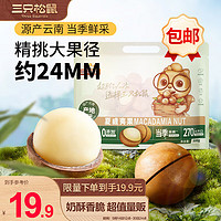 三只松鼠 夏威夷果500g/袋 堅果炒貨量販干果休閑零食送禮約24mm一斤裝混發(fā)