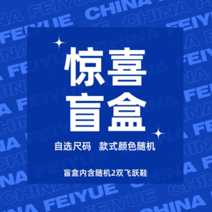 Feiyue. 飞跃 惊喜盲盒福袋 2双鞋 尺码可选 款式