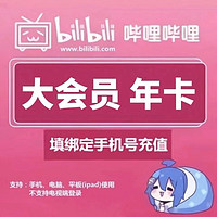 bilibili 嗶哩嗶哩 大會(huì)員年卡12個(gè)月