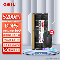 GeIL 金邦 16G DDR5-5200  筆記本內(nèi)存條 千禧系列