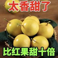 達妮妮 欽蜜9號黃金百香果新鮮果產(chǎn)地直發(fā)特產(chǎn)大果水果新鮮