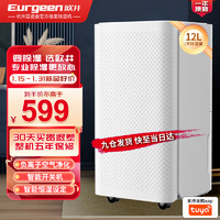 Eurgeen 歐井 除濕機(jī)/抽濕機(jī) 除濕量12升/天 家用臥室干衣吸濕器干燥機(jī) wifi互聯(lián)輕音36分貝 OJ-122E