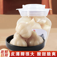 知香齋 糖蒜 精品壇裝 480g*1