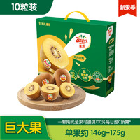 Zespri 佳沛 新西蘭陽光金奇異果10粒禮盒巨大果單果約146-175g