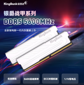 PLUS會(huì)員！KINGBANK 金百達(dá) 銀爵系列 DDR5 5600MHz 臺(tái)式機(jī)內(nèi)存 馬甲條 白色 32GB（16GB*2）