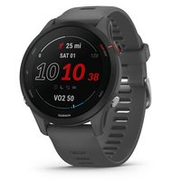 GARMIN 佳明 Forerunner 255 GPS 跑步智能手表 先進(jìn)的洞察力 持久的電池 石板灰色