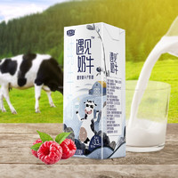 JUNLEBAO 君樂寶 遇見奶牛全脂純牛奶 200mL*24盒整箱 營(yíng)養(yǎng)早餐家庭量販