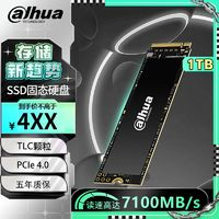 Dahua 大華 C970 PLUS 固態(tài)硬盤 2TB