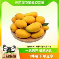 新欢 海南台农芒果 4.5斤装