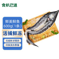 食机已道 冷冻贵州开背鲟鱼600g 1条 国产淡水鱼 海鲜鱼肉 生鲜鱼类