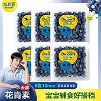 DRISCOLL'S/怡颗莓 怡颗莓云南蓝莓小果125g6盒