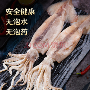 美加佳 鮮凍整只大魷魚（2-3只） 凈重550g*4件