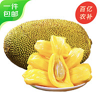 农锦鲜 海南菠萝蜜 一个装25-30斤新鲜水果当季特产源头直发