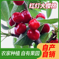 巧鮮惠 現(xiàn)貨順豐直發(fā) 2.5kg 山東大櫻桃 車?yán)遄?單果 26-30mm大果