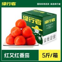 GREER 绿行者 红又红番茄品牌果5斤新鲜蔬菜自然熟西红柿子孕妇水果