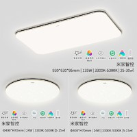 OSRAM 歐司朗 吸頂燈 SX025影分身