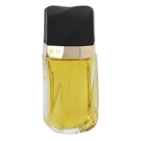 ESTEE LAUDER 雅詩蘭黛 盡在不言中女士香水 EDP 75ml