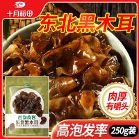 十月稻田 東北特產(chǎn)黑木耳干貨500g黑龍江木耳肉厚大朵