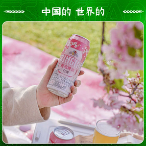 Tsingtao 青島啤酒 11度全麥白?。鸦ò妫?00mL*12聽