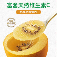 Zespri 佳沛 新西蘭金奇異果10粒 146g-174g超大果禮盒裝