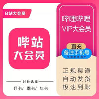 嗶哩嗶哩大會員一年 bilibili B站一年大會員1年 12個月 一次到賬1年（不支持電視）