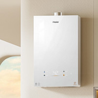 Haier 海爾 恒星KL5S JSQ31-16KL5SFXPGU1 強排式燃氣熱水器 16L