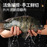 大希地 黑椒羅非魚排魚柳煎油炸黑椒鯛魚排（羅非魚排）100g*6