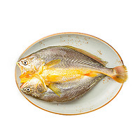 黃小漁 醇香黃魚鲞250g*6條（凈重1.5kg）大黃花魚生鮮水產(chǎn)魚類源頭直發(fā)