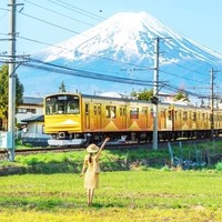 有效期有半年！日本東京/大阪/北海道/名古屋一日游通兌劵 含季節(jié)限定行程