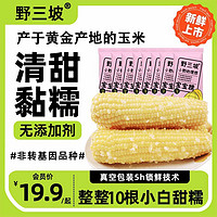 野三坡 23年新鮮采摘糯玉米真空粘糯玉米苞米旗艦店更嫩的寶寶白糯