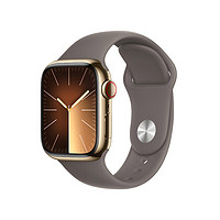 Apple 蘋果 Watch Series 9 智能手表 GPS+蜂窩款 41mm 金色不銹鋼表殼