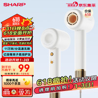 SHARP 夏普 小浪花 IB-RP45C-C 高速吹風(fēng)機(jī) 白金色