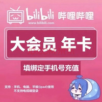 bilibili 嗶哩嗶哩 大會員一年12個月