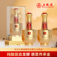 WULIANGYE 五糧液 感恩傳承金 52度濃香型白酒 500ml 2瓶