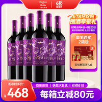 紅魔鬼 干露紅魔鬼智利原瓶進(jìn)口紅酒 魔神炫紫限量系列 750ml 整箱裝