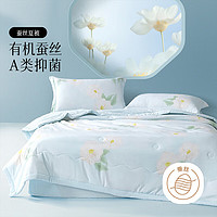 BLISS 百麗絲 水星集團(tuán)旗下100%蠶絲抗菌可水洗夏涼被 200cm×230cm