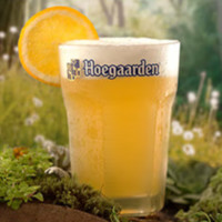 Hoegaarden 福佳 白啤酒比利時(shí)風(fēng)味小麥灌裝精釀310ml*12聽