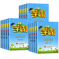 《2024新版小學(xué)、經(jīng)綸學(xué)霸》（2024版、年級/版本/科目任選）