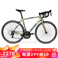 MERIDA 美利達(dá) 美利達(dá)（MERIDA）24款 SHADOW幻影2  16速 公路自行車 美銀金 700*46CM(建議身高150-160CM)