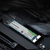 SEAGATE 希捷 PCIE4.0 SSD固態(tài)硬盤 酷魚510系列 250G：讀速3200MB/S，寫速1300MB/S