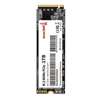 Great Wall 長(zhǎng)城 P300 NVMe M.2 固態(tài)硬盤 1TB（PCI-E3.0）