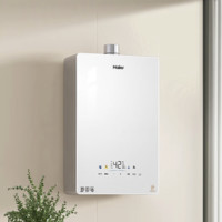 Haier 海爾 JSQ31-16KE5FXPGU1 無(wú)級(jí)變頻水伺服燃?xì)鉄崴?16L 天然氣 31kW