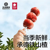 BabyPantry 光合星球 兒童零食無添加山楂棒 62g*3盒