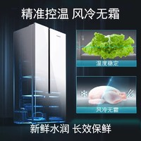 SIEMENS 西門子 530L大容量超薄嵌入玻璃門對開雙開家用電冰箱KX52NS20TI