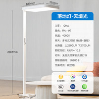 Midea 美的 學(xué)習(xí)護(hù)眼臺燈 立式 天境光SE